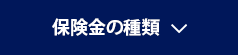 保険金の種類
 