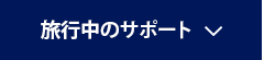 旅行中のサポート