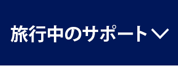 旅行中のサポート